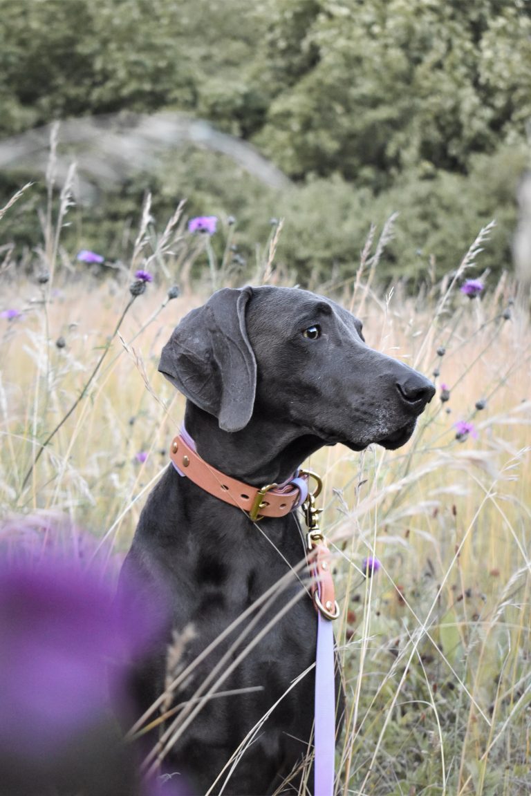 1911FF4C-14C1-462F-BB00-A7DE7712C560