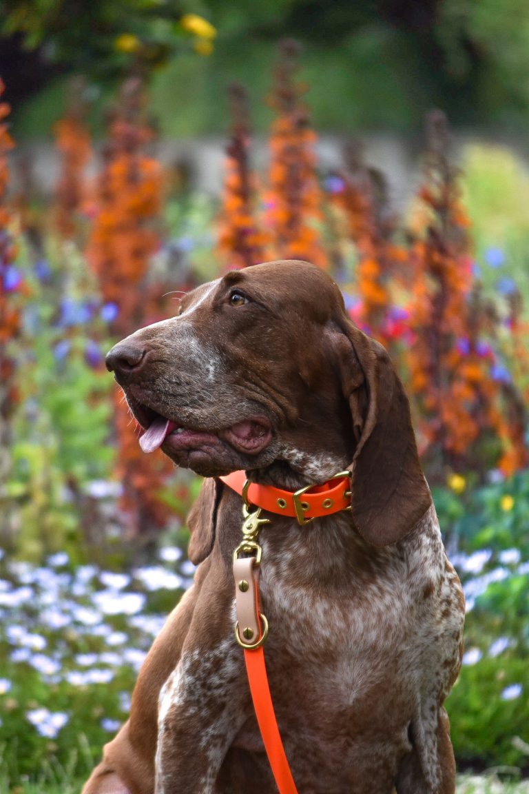 5FE28637-6B49-4C51-B5E4-53415ED44038