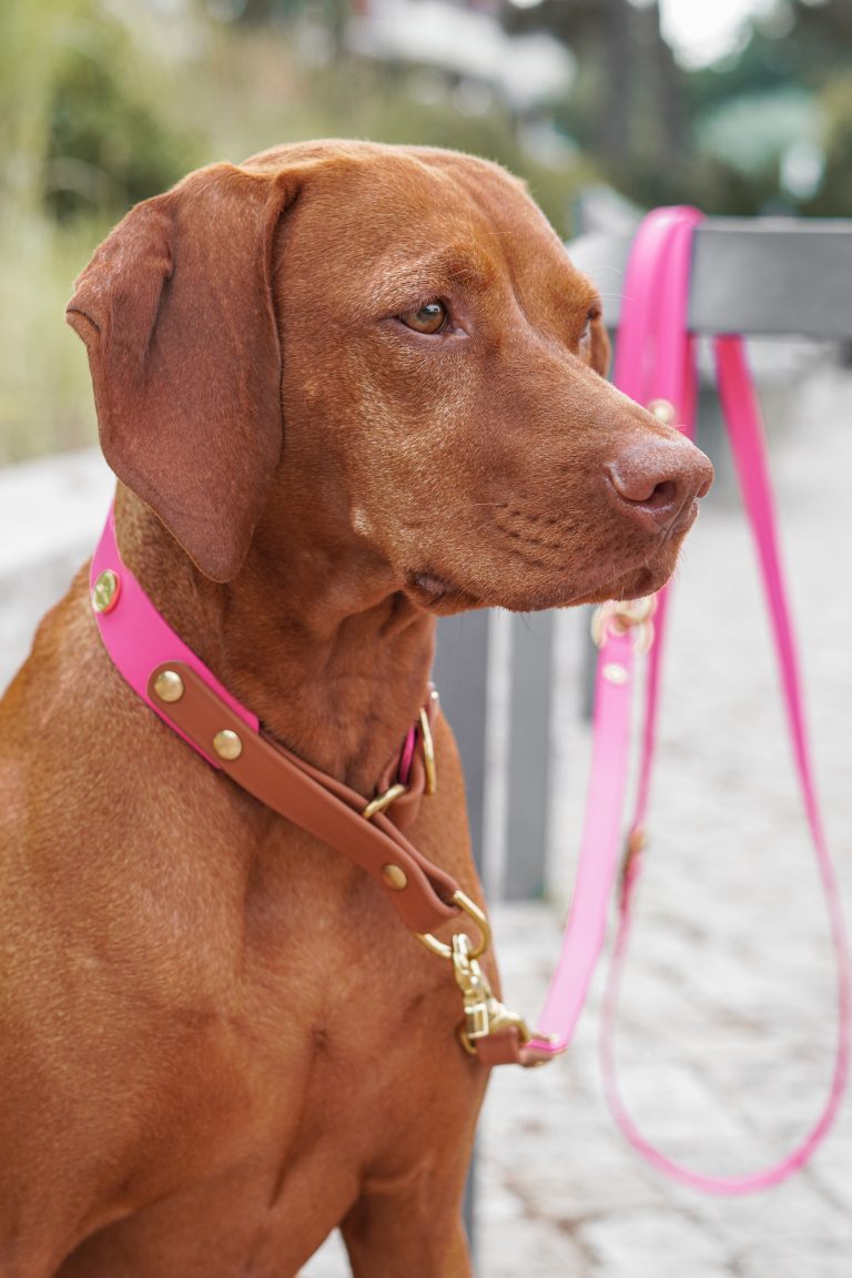 Foto 14.08.25, 08 55 32